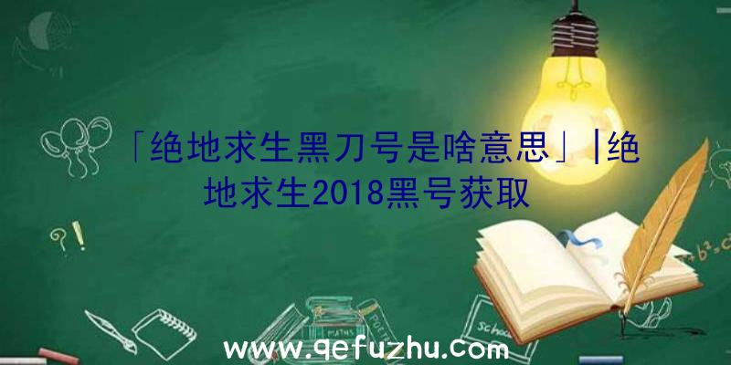 「绝地求生黑刀号是啥意思」|绝地求生2018黑号获取